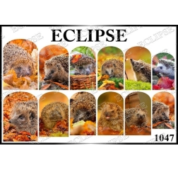 ECLIPSE слайдер 1047