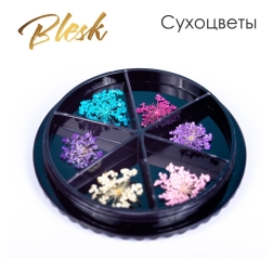 BLESK Дизайн для ногтей Сухоцветы