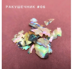 Ракушечник Bloom №6