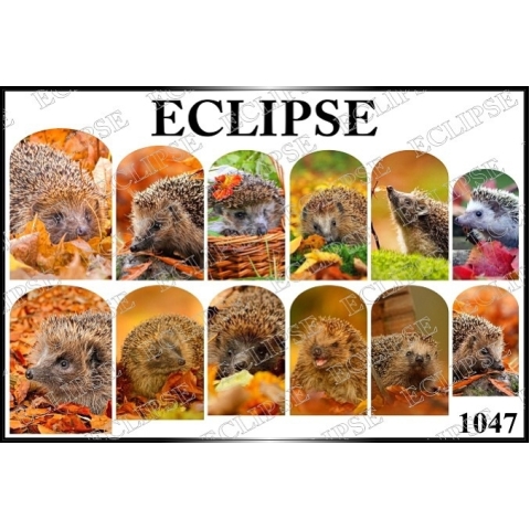 ECLIPSE слайдер 1047 в интернет магазине в Сургуте,ECLIPSE слайдер 1047 купить в Сургуте, Интернет-магазин Shopnails.pro Сургут предлагает купить ECLIPSE слайдер 1047, гели, акрилы, мономеры, наборы гель лаков Шеллак, биогелей OPI Axxium, специальные жидкости