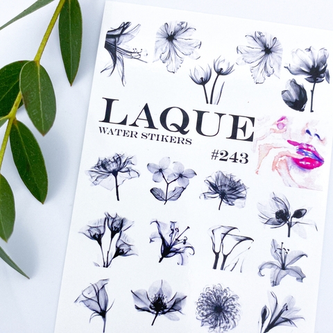 Laque #243 в интернет магазине в Сургуте,Laque #243 купить в Сургуте, Интернет-магазин Shopnails.pro Сургут предлагает купить Laque #243, гели, акрилы, мономеры, наборы гель лаков Шеллак, биогелей OPI Axxium, специальные жидкости