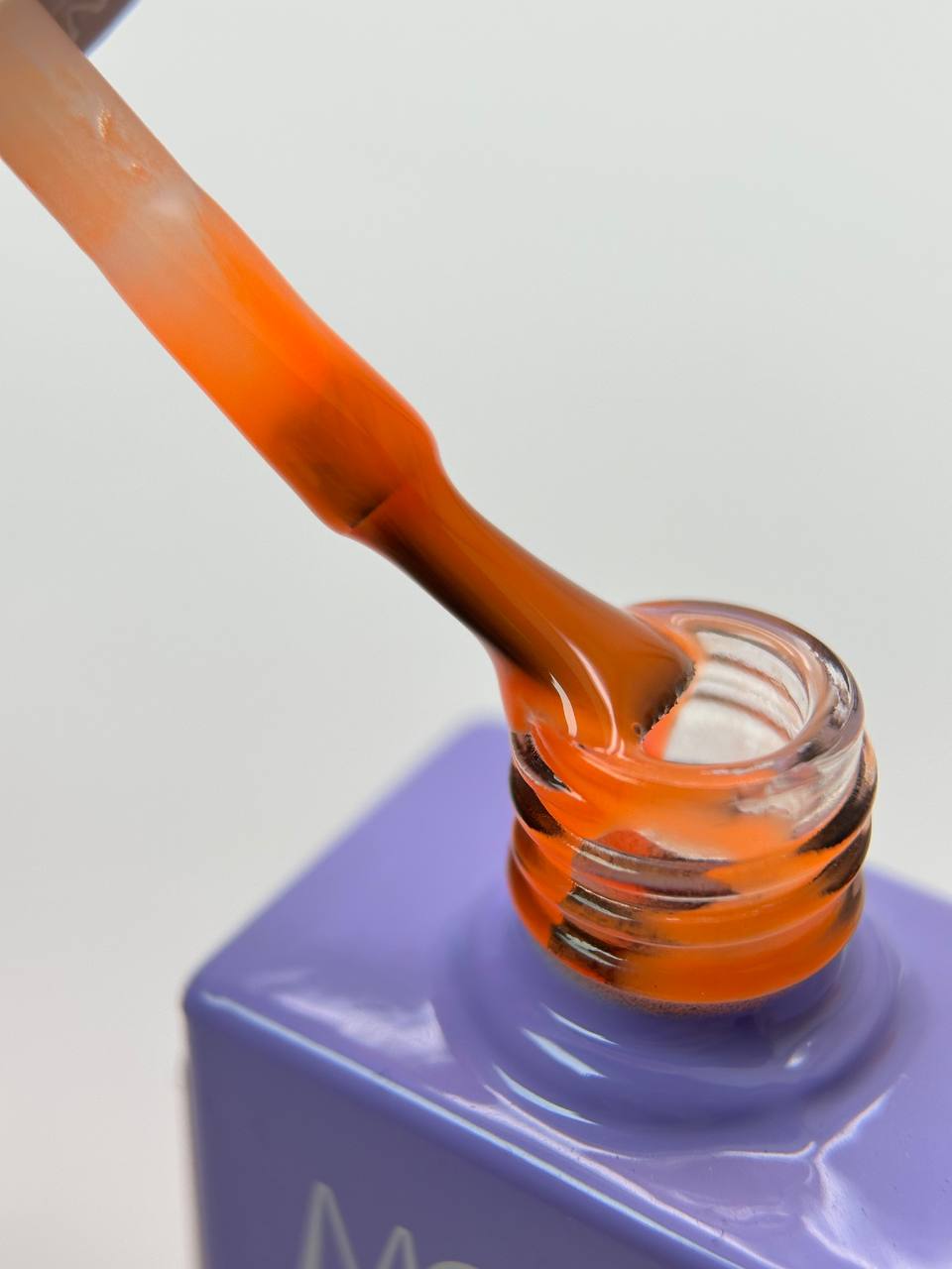 photo_2026-02-24_15-44-07