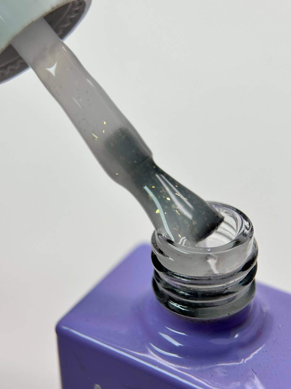 photo_2026-02-24_15-44-30