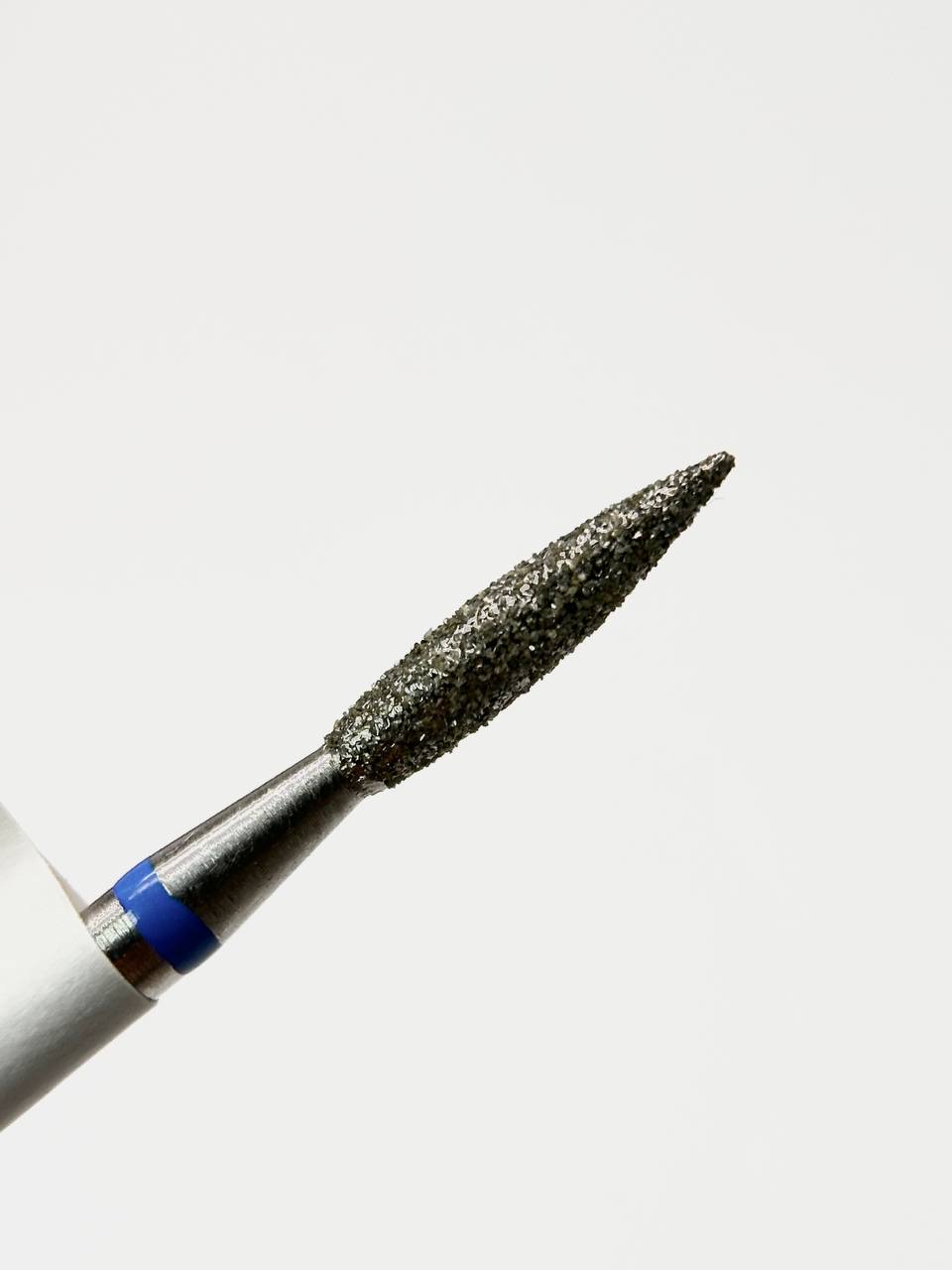 photo_2026-02-26_14-19-09