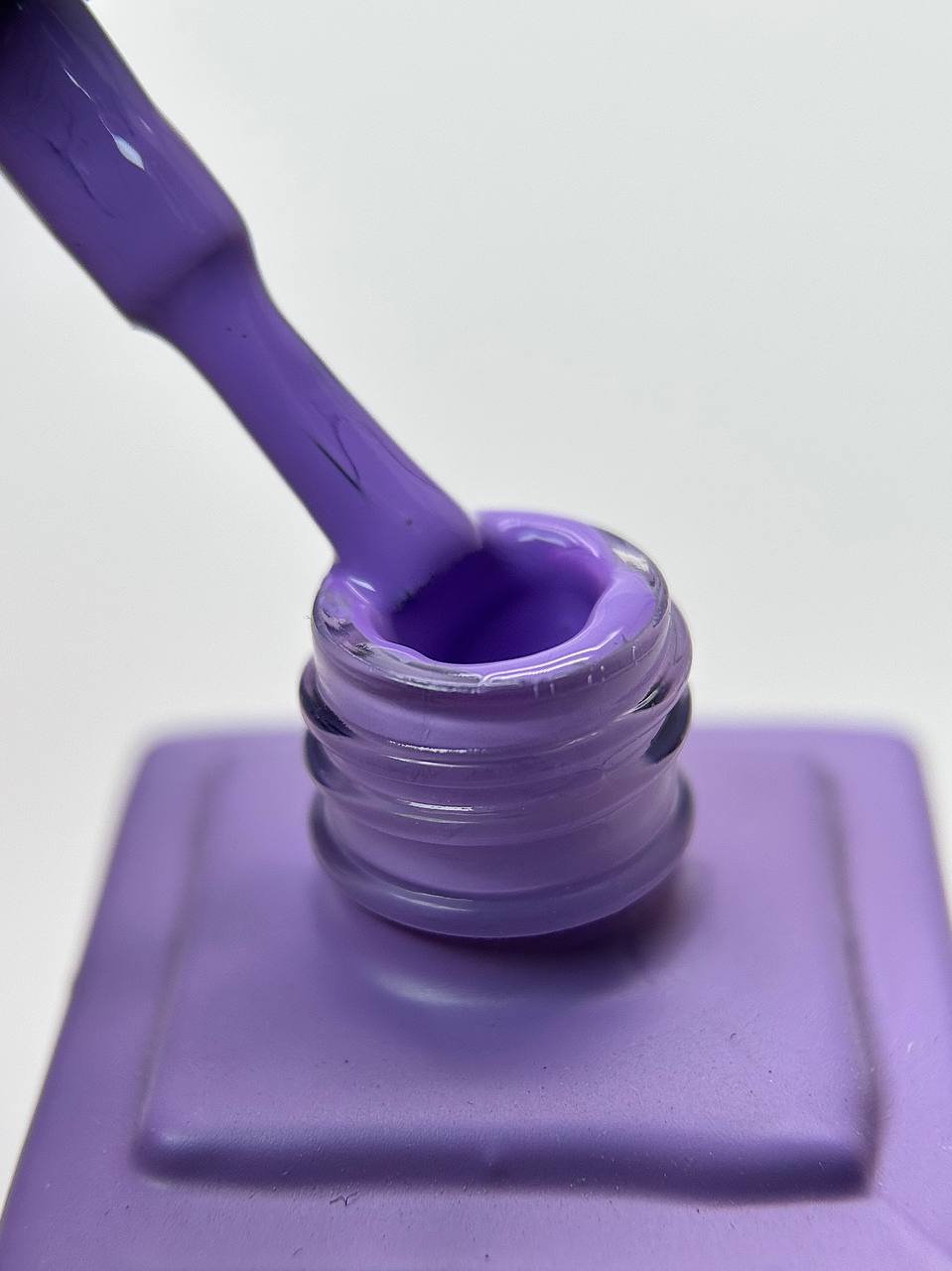 photo_2026-02-24_15-42-21