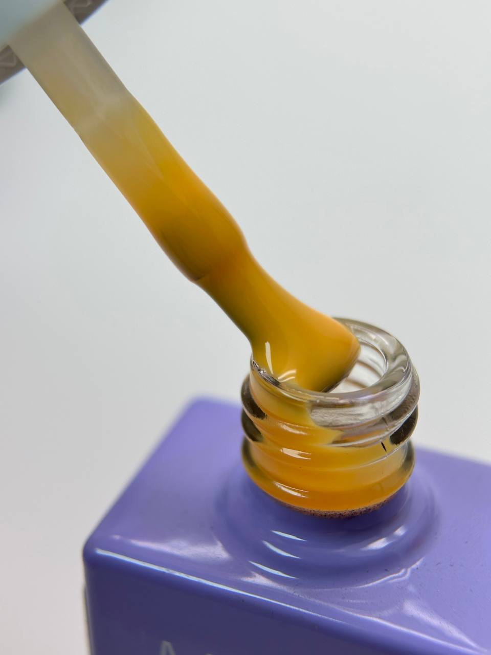 photo_2026-02-24_15-43-59