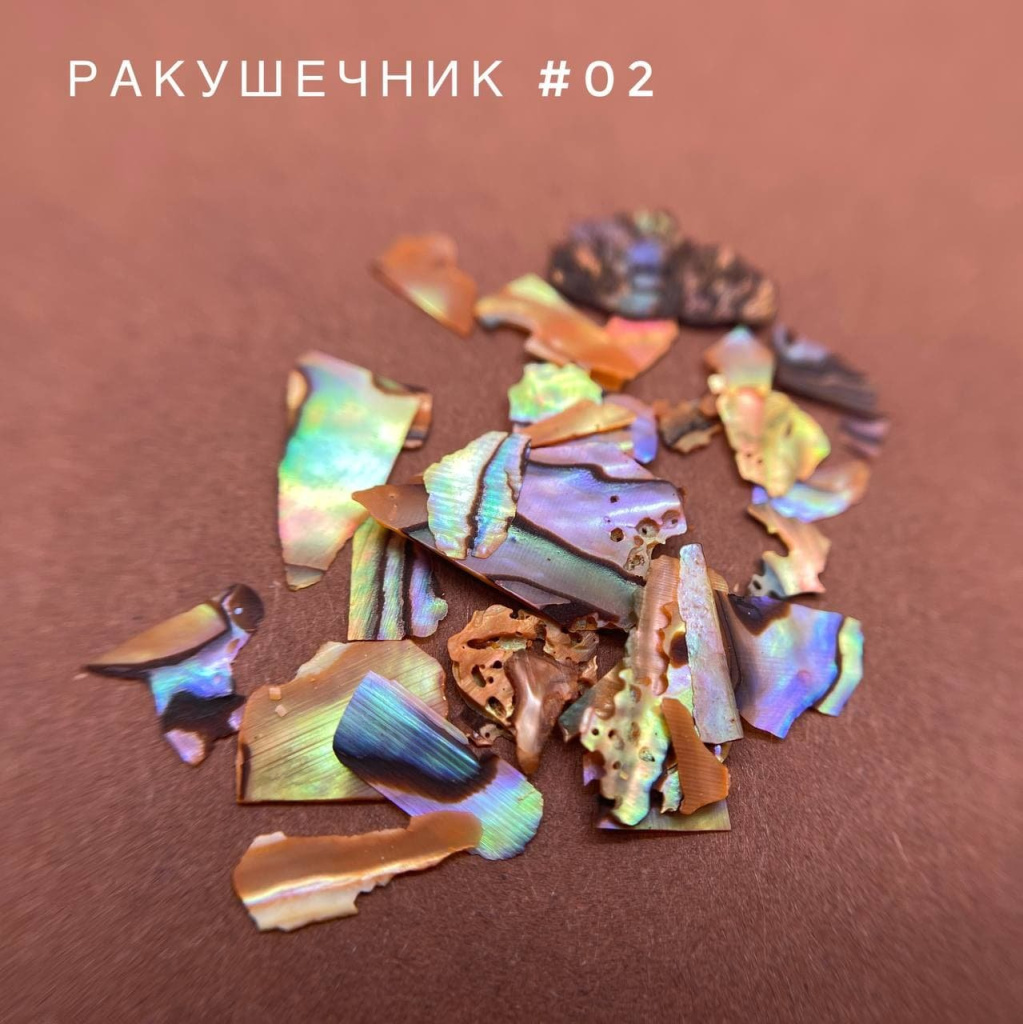 Ракушечник 2